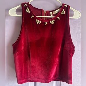 Red Velvet Embellished Crop Top